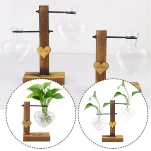 Blumen arrangement Blumentopf Pflanze Glasvase Hydro po nische Blumenvase - Bild 1 von 10