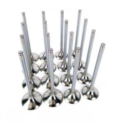 Комплект клапанов запаса Skunk2 серии Alpha для Honda/Acura серии H (стандартный компрессор) - Изображение 1 из 4