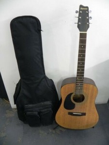 Las mejores ofertas en Guitarras acústicas Samick | eBay