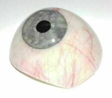 Ocular Prosthesis Grey Shade Artificial Prosthetic Eye Acrylic 2 Day Delivery