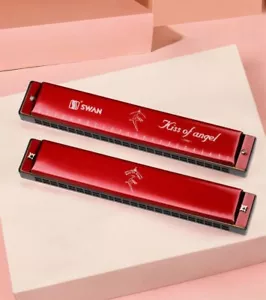 Red Swan Stainless Steel Reeds 24 Holes Tremolo Harmonica Key of C Beginner Set - Picture 1 of 12