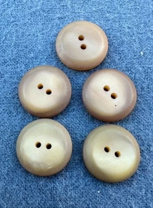 #699 Vintage 5 Beige Plastic BUTTONS 2 Hole Flat 7/8" - Picture 1 of 5
