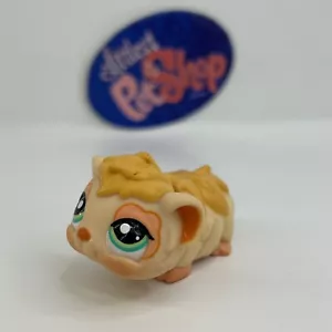 GUINEA PIG #1844 - Authentic Littlest Pet Shop - Hasbro LPS - Picture 1 of 4