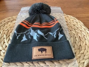 Locale Jackson Hole Beanie – Gray Ski Winter Hat, One Size, Wyoming Apres-Ski - Picture 1 of 5