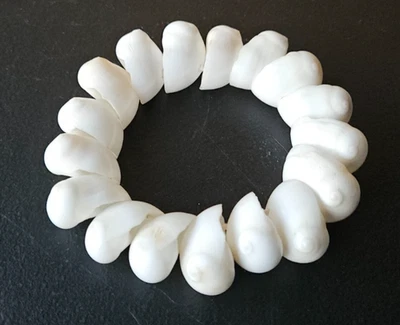 WHITE MOON SNAIL, NATICA SHELLS STRETCH BRACELET. NATURAL FLAWS, BLEMISHES. — 第 1/4 张图片