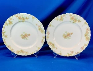 JUEGO DE 47 PLACAS HAVILAND LIMOGES 7,5" DIAPOSITIVA PATRÓN CONDESA - Imagen 1 de 5