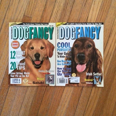 DOG FANCY 2 Magazine Lot, 1999 Golden Retriever (with Poster), Irish Setter Foto 1 de 4