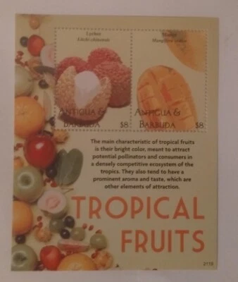 Antiqua. 2021. MNH. Tropical Fruits. Souv. Sheet. sal's stamp store. - Image 1 of 2
