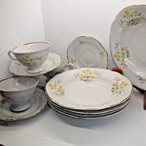 WALBRZYCH Poland Baum Spring Time Porcelain Soup Bowls, Teacups & Saucers Set - Picture 1 of 2