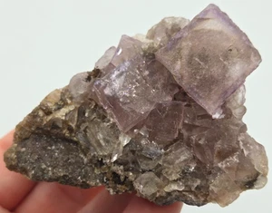 +++ FLUORITE EL TULE MINE, MELECHOR MUZQUIZ +++ - Picture 1 of 8