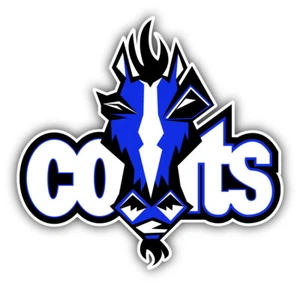 "Calcomanía pegatina con logotipo de fútbol americano de los Indianapolis Colts NFL - 3"" o 5""" - Imagen 1 de 1