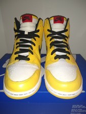 nike sb dunk high wet floor