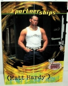 WWE - ABSOLUTE DIVAS 2002 - MATT HARDY - MINI POSTER - Picture 1 of 1