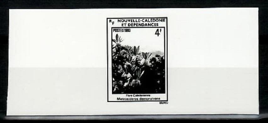 Фотоэссе, Новая Каледония Sc485 Флора, Растение, Metrosideros Demonstrans. - Изображение 1 из 1