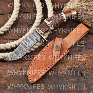 Stag Horn Damascus Skinner Knife | Full Tang | Handmade Hunting Blade US NoTriff - Picture 1 of 9