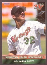 2002 WINSTON-SALEM WARTHOGS Choice Minor League Single Cards YOU PICK OBO