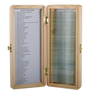 KOPPACE 50pcs of Biological Tissue Slides For Education Microscope Biological - Picture 1 of 6