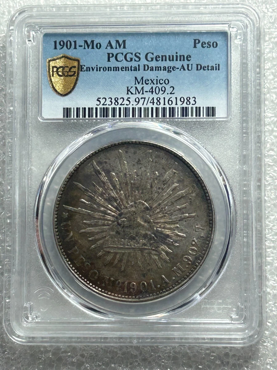 1900年 メキシコ ペソ銀貨 NGC AU DETAILS 1900年 メキシコ ペソ銀貨 NGC AU DETAILS｜Yahoo!フリマ（旧PayPay