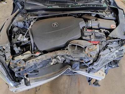 Rear Strut 2015 Tlx Sku#4241798 - Image 1 of 4