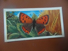 Great Britain Brooke Bond original 1963 tea card "British Butterflies",  No.35.