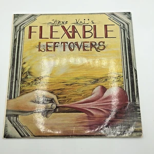 Steve Vai's Flexable Leftovers 10” Vinyl Record Vintage Collectable - Picture 1 of 13