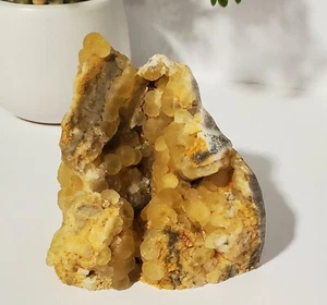 440g natürliches gelbes botryoidales FLUORIT Kristall Mineral Probe - Bild 1 von 11
