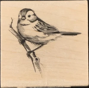 Inkadinkado Sparrow Bird On A Branch Rubber Stamp - Picture 1 of 3