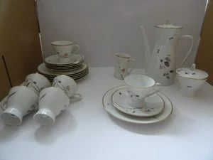 Rosenthal Form 2000 Kaffeeservice 6 Personen Japanischer Blütenzweig 21 Teile - Bild 1 von 12