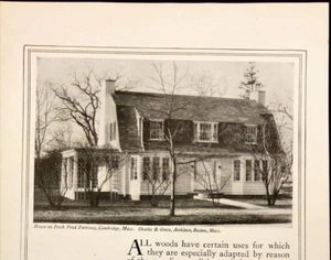 1917 White Pine Bureau Home Building Lumber House on Pond Antique Print Ad - Picture 1 of 7