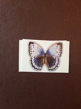 H1g Trade Card Lyons Maid Beautiful Butterflies Jungle Queen