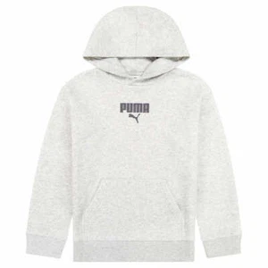 Puma Gray Youth Kids Unisex Embroidered Logo Fleece Hoodie - Picture 1 of 5