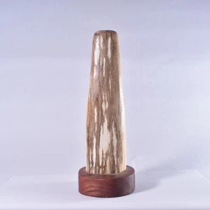 Petrified Wood Specimen, Polished Fossil Wood Freeform Tower, Indonesia 218mm - Picture 1 of 5