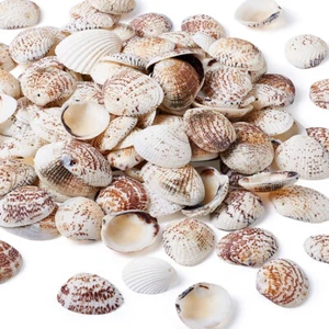 110 pezzi perline conchiglia distanziatore conchiglia perline conchiglia per fare gioielli artigianali fai da te - Foto 1 di 10