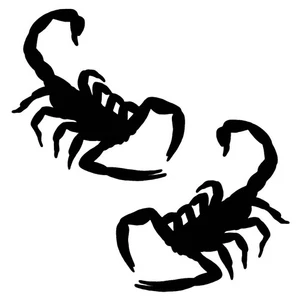 Static Window Clings - Black Window Cling Scorpion 2 Pack - Picture 1 of 1