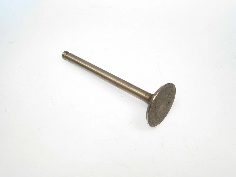 Válvula de admisión motor Triumph Spitfire 1493cc 1973 1974 nueva Tranco 34487 Foto 1 de 1