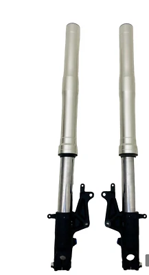 FORCELLE REGOLABILI ADJUSTABLE FRONT FORKS HONDA CB 1000 R DA 2008 A 2016 GRIGIO - Immagine 1 di 4
