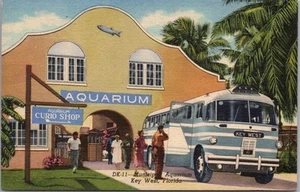 1948 Key West, Florida Postal "Acuario Municipal" Autobús/Lino Curteich SIN USAR - Imagen 1 de 2