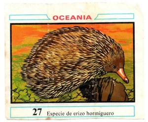 ERIZO HORMIGUERO #27 CROMO OCEANIA 1968 DUNKIN RECUPERADO DE ALBUM - Imagen 1 de 2
