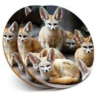 2 x Coasters - Cute Fennec Fox Pack Foxes  #44773