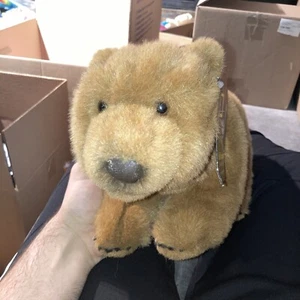 Brown Bear Plush Stuffed K&M International 1997 National Geographic Society Vtg - Picture 1 of 8