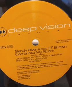 Sandy Rivera Featuring LT Brown – Come Into My Room EP 12" Deep Vision DVR 10 - Picture 1 of 5