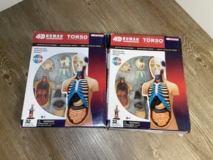 (2) 4D Master 4D Menschlicher Torso Anatomie Modell Abteilung Anatomie Brandneu - Bild 1 von 5