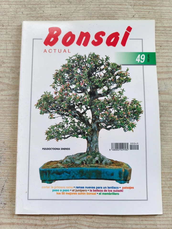 Revista Bonsai Actual - Numero 49 - Imagen 1 de 4