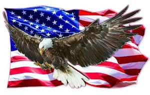 Eagle Clean American Flag Decal - Picture 1 of 7