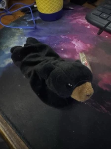 Ty Beanie Baby Blackie der Bär Plüschtier - Bild 1 von 6