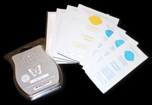 Scentsy Lot SILVER BELLS Wax Bar & 7 Samples Dish Soap, Laundry, Hand Cream - Picture 1 of 3