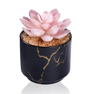 Succulent Artificial PlantsCute Fake Succulents in 1 Black Ceramic PotsSmall ... - Picture 1 of 5