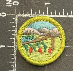 Boy Scouts of America BSA Wilderness Survival Merit Badge Scouting Award Patch - Foto 1 di 2