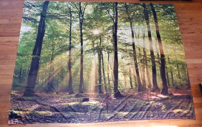 TAPIZ BOSQUE NATURAL LUZ SOLAR 60x80" árboles colgantes tela decoración pared arte Foto 1 de 2