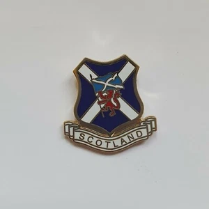 Metal Pin Badge - Picture 1 of 1